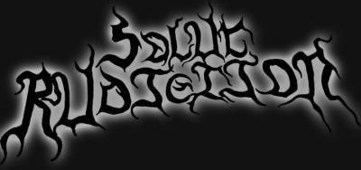 logo Solar Radiation